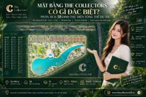 Phân Tích 58 Dinh Thự Trên Tổng Thể Dự Án The Collectors'